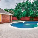 Pool and Back Yard Clean Up